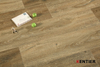 Laminate Flooring 5024-5