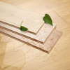 Laminate Flooring 9205-12